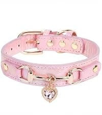 Leather Cat Collar with Bell Breakaway- Adjustable — collection imagery