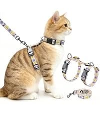 Cat Harness and Leash Set — Escape Proof Cat Harnesses — collection imagery