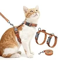Cat Harness and Leash Set — Escape Proof Cat Harnesses — collection imagery