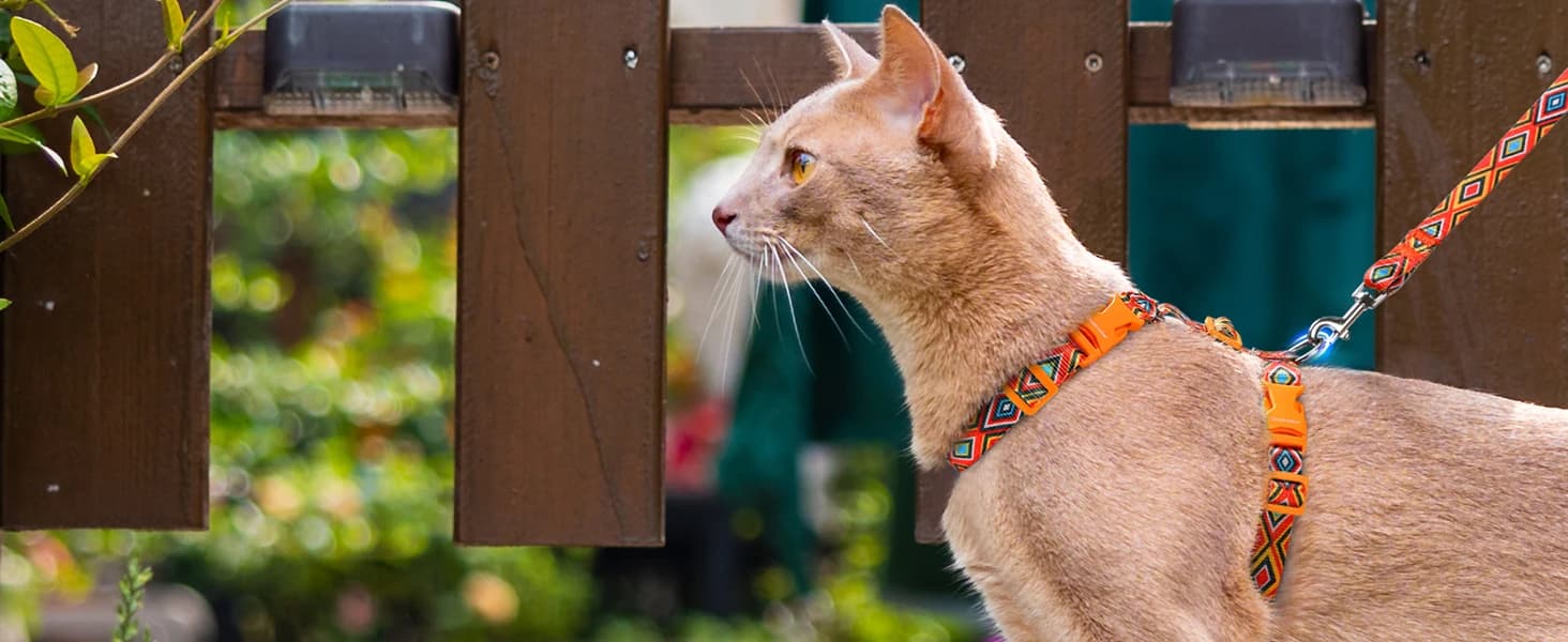 Cat Harness and Leash Set — Adjustable Pet Straps — Safe and Reassuring - Wherever You Are