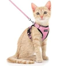 Cat Harness and Leash Set — Adjustable Pet Straps — collection imagery