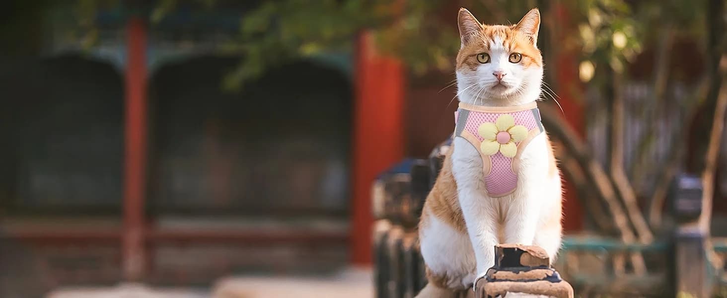 Cat Harness and Leash Set — Escape Proof Soft Vest Walk Pink XS — collection imagery