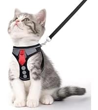 Cat Harness and Leash Set — Escape Proof Soft Vest Walk Pink XS — collection imagery