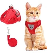 Cat Harness and Leash Set — Escape Proof Soft Vest Walk Pink XS — collection imagery