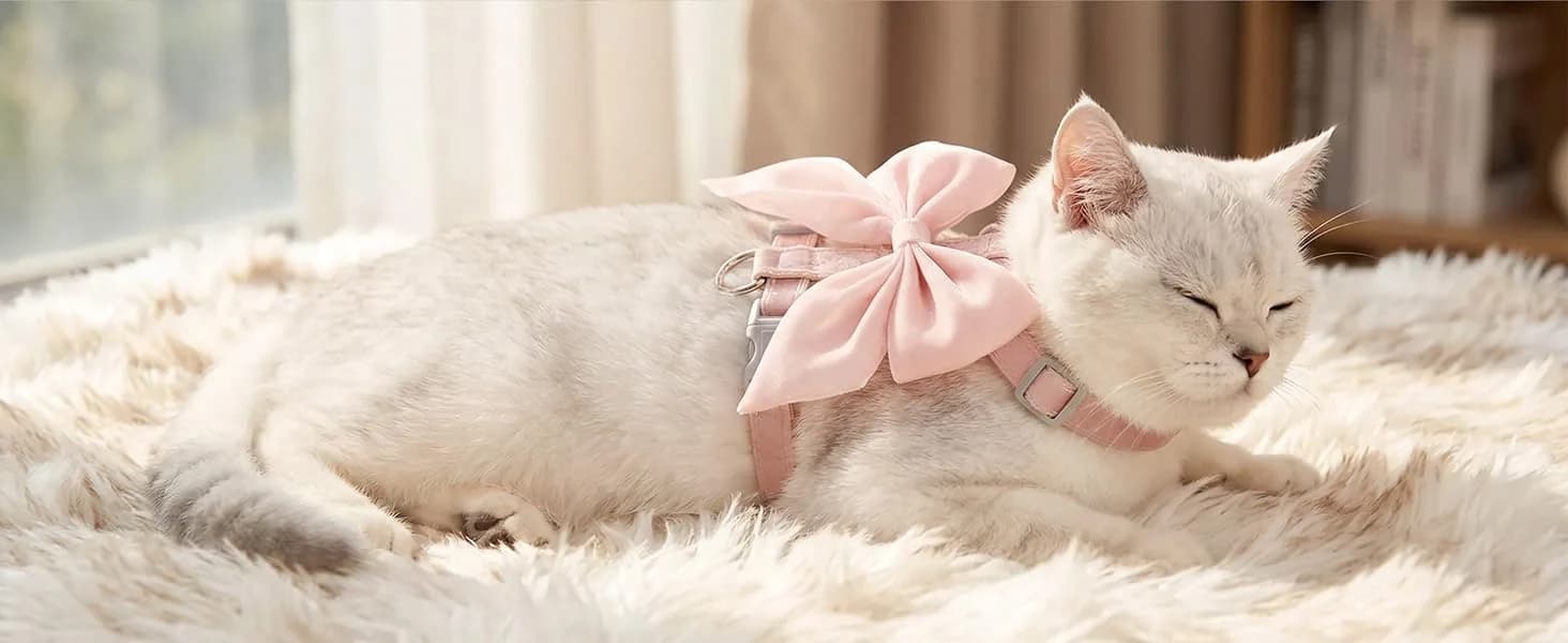 Pink Bow Cat Harness and Leash Set — Escape Proof — collection imagery