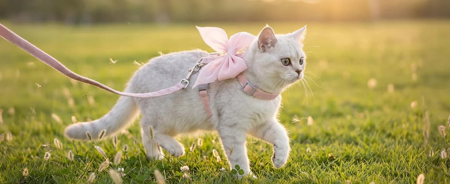Pink Bow Cat Harness and Leash Set — Escape Proof — collection imagery