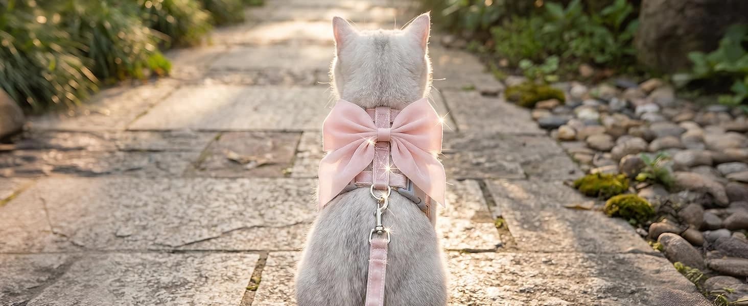 Pink Bow Cat Harness and Leash Set — Escape Proof — collection imagery
