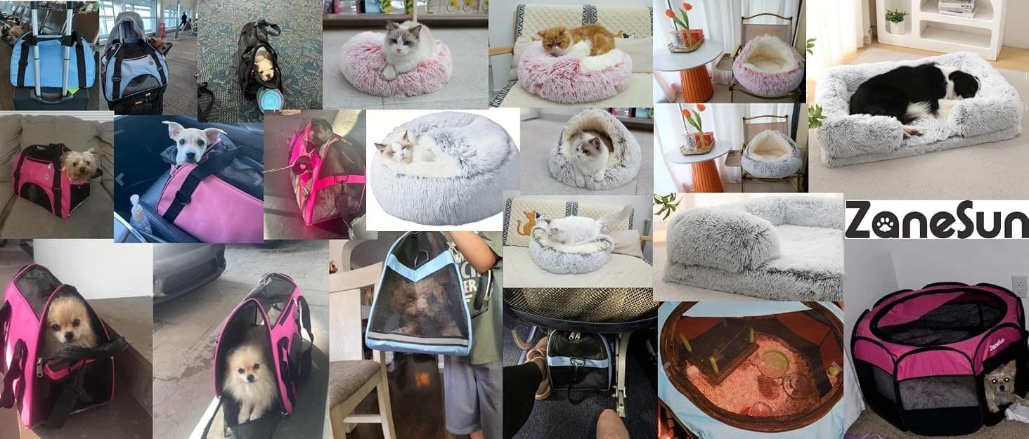 Cat Carrier — Soft-Sided Pet Travel Carrier for Cats — collection imagery