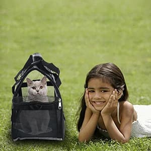 Cat Carrier for Cats Soft-Sided Travel Pet Carrier for Cat with Wooden Padding Board Airline Approved — collection imagery