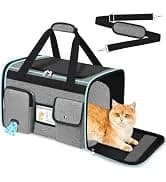 Large Cat Carrier — Soft Sided Travel Pet Carrier Airline Approved — collection imagery