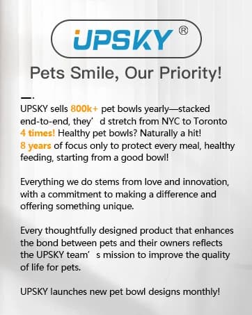 Slow Feeder Dog Bowl — Anti-Chocking Slower Feeding Pet Puzzle Bowls — collection imagery