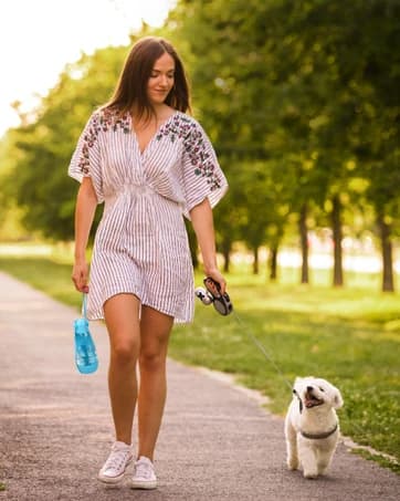 Slow Feeder Dog Bowl — Anti-Chocking Slower Feeding Pet Puzzle Bowls — collection imagery