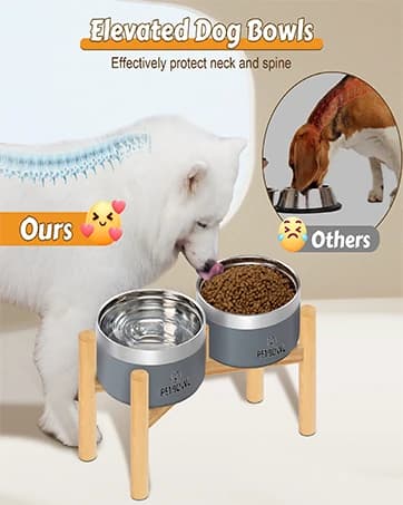 Slow Feeder Dog Bowl — Anti-Chocking Slower Feeding Pet Puzzle Bowls — collection imagery