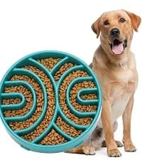 Slow Feeder Dog Bowls for Large Medium Dog Non Slip Maze Puzzle Bowl Pet Slower Food Feeding Dishes Interactive — collection imagery