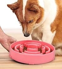 Slow Feeder Dog Bowls for Large Medium Dog Non Slip Maze Puzzle Bowl Pet Slower Food Feeding Dishes Interactive — collection imagery