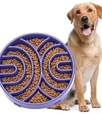 Slow Feeder Dog Bowls for Large Medium Dog Non Slip Maze Puzzle Bowl Pet Slower Food Feeding Dishes Interactive — collection imagery