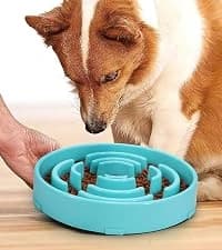 Slow Feeder Dog Bowls for Large Medium Dog Non Slip Maze Puzzle Bowl Pet Slower Food Feeding Dishes Interactive — collection imagery