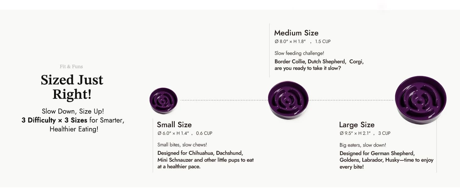 Dog Bowls Slow Feeder Ceramic — 1.5 Cup Slow Feeding Bowl for Small and Medium Breed — collection imagery