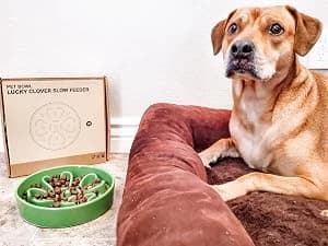 Dog Bowls Slow Feeder Ceramic — 1.5 Cup Slow Feeding Bowl for Small and Medium Breed — Life with Pets is Full of Joy