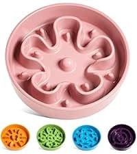 Dog Bowls Slow Feeder Ceramic — 1.5 Cup Slow Feeding Bowl for Small and Medium Breed — collection imagery