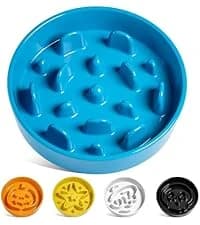 Dog Bowls Slow Feeder Ceramic — 1.5 Cup Slow Feeding Bowl for Small and Medium Breed — collection imagery