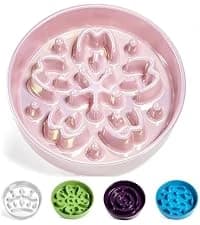 Dog Bowls Slow Feeder Ceramic — 1.5 Cup Slow Feeding Bowl for Small and Medium Breed — collection imagery