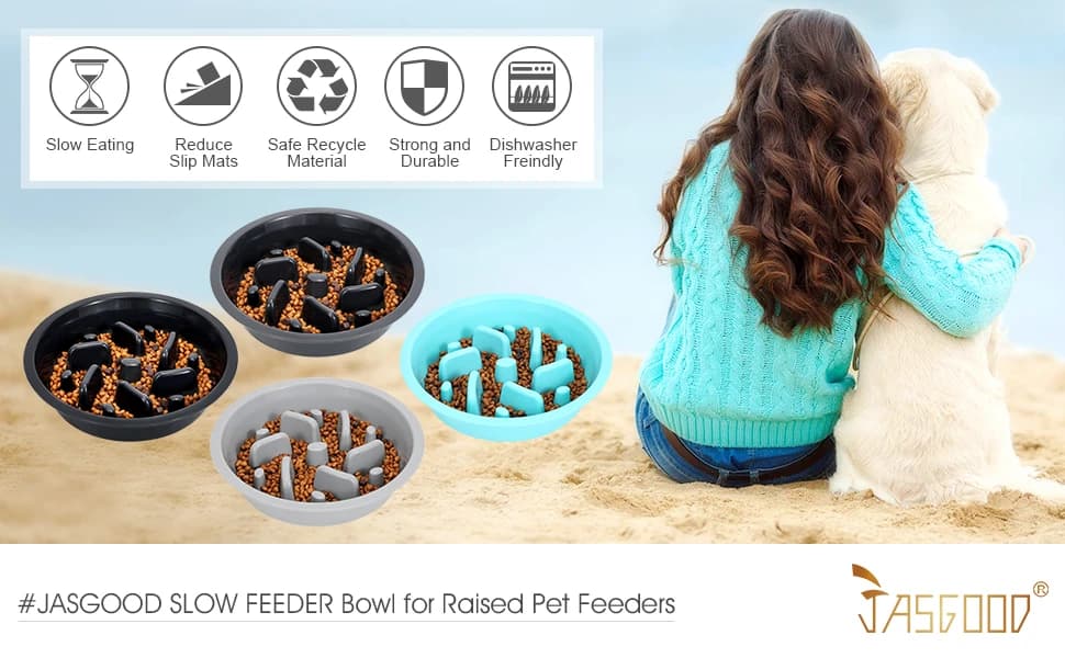Dog Slow Feeder - Reduce Slip Puzzle Bowl for Raised Pet Feeders - Interactive Bloat Stop Elevated Diners — Whether you are very hard to find a bowl that is a slow feeder that fit into an elevated dog bowl?