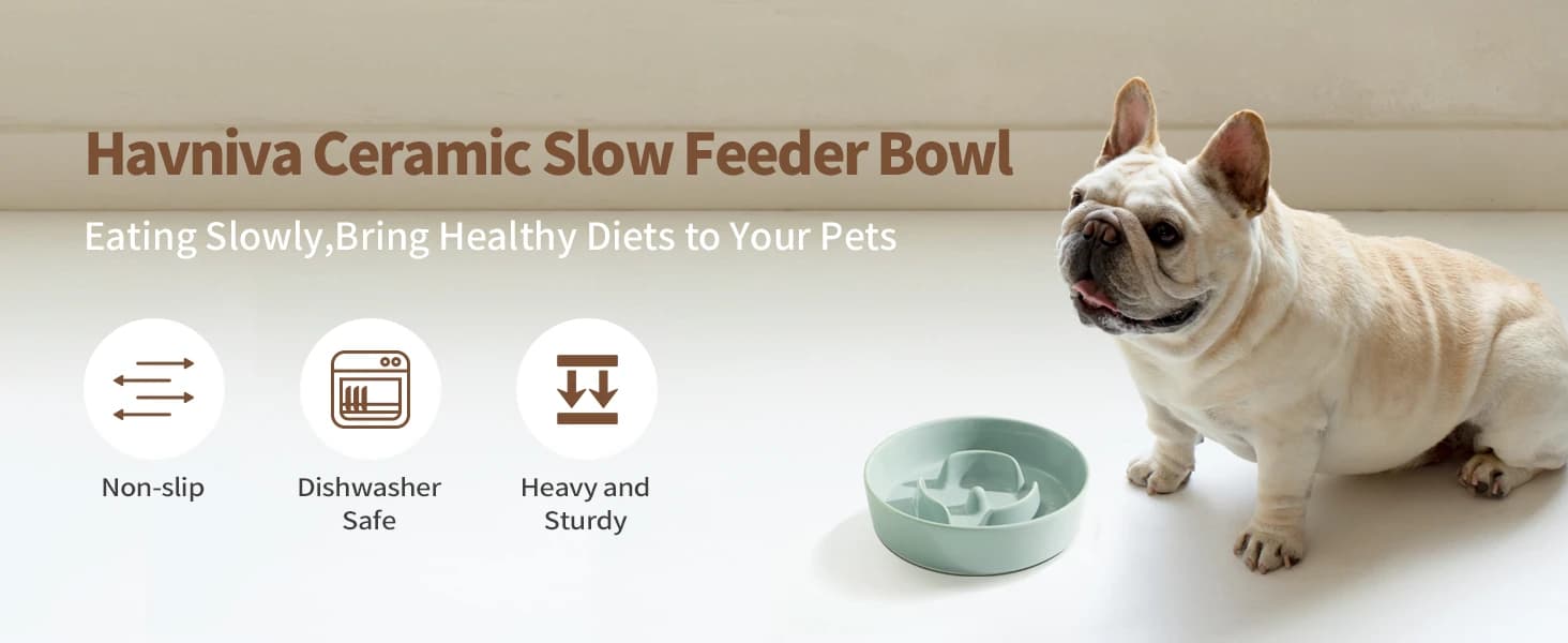 Ceramic Slow Feeder Bowls for Dogs — 8.3 in Slow Feeder for Medium Breed — Ceramic Slow Feeder Bowl