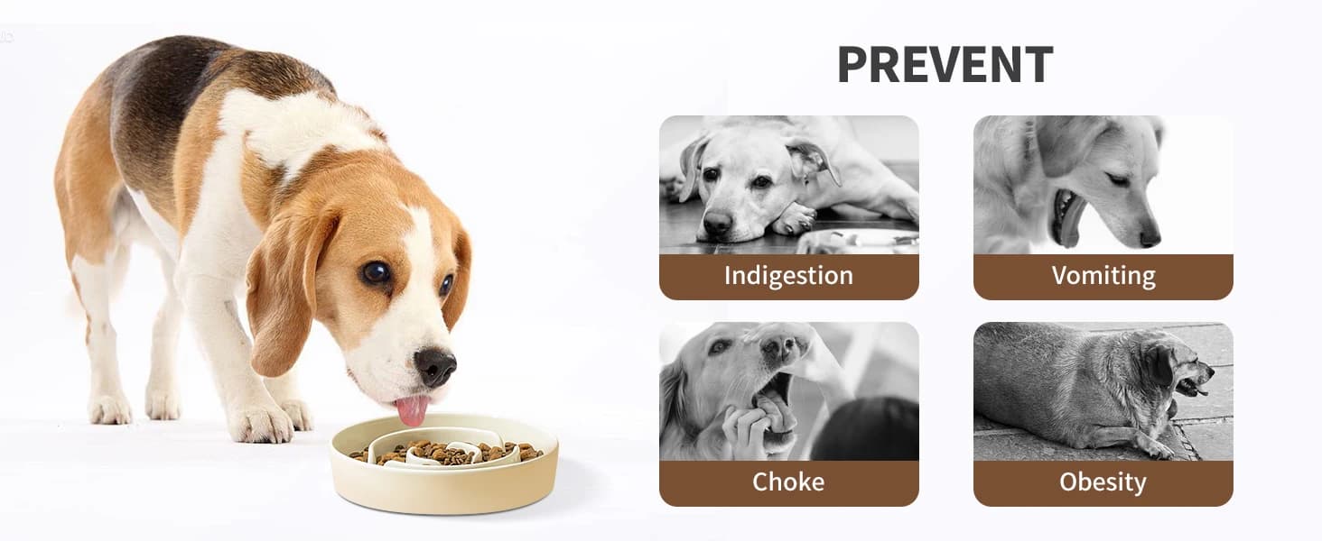 Ceramic Slow Feeder Bowls for Dogs — 8.3 in Slow Feeder for Medium Breed — product details