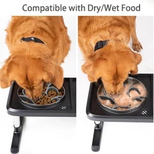 Dog Slow Feeder Bowls — Silicone Spiral Pet Food Feeder Insert to Slow Eating — collection imagery