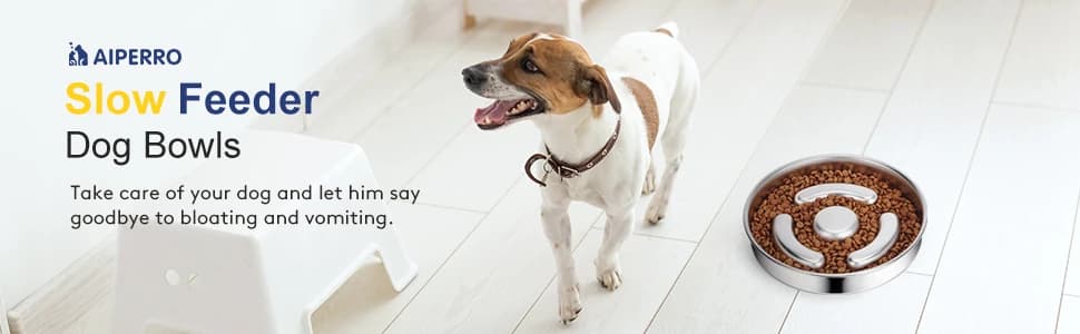 Slow Feeder Dog Bowl Stainless Steel — Metal Non-Slip Dog Food Bowls — collection imagery