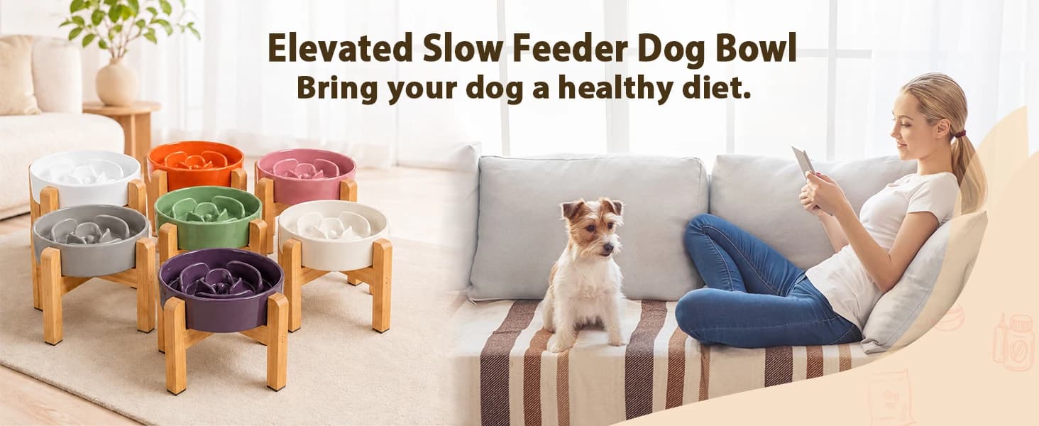 Elevated Slow Feeder Dog Bowl — product details