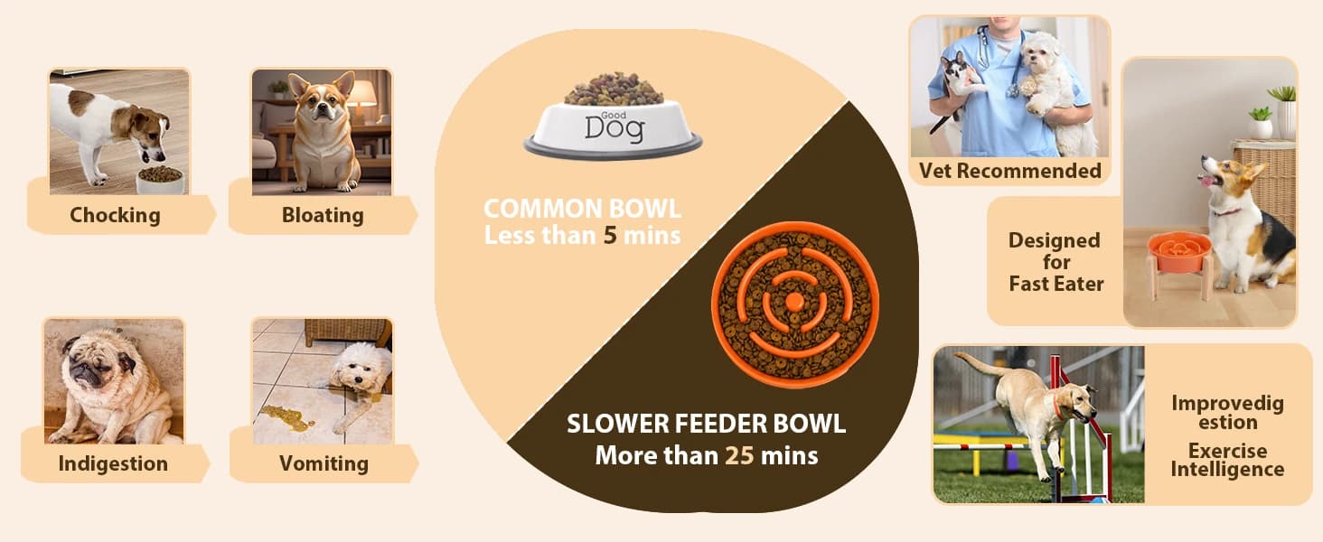 Elevated Slow Feeder Dog Bowl — product details