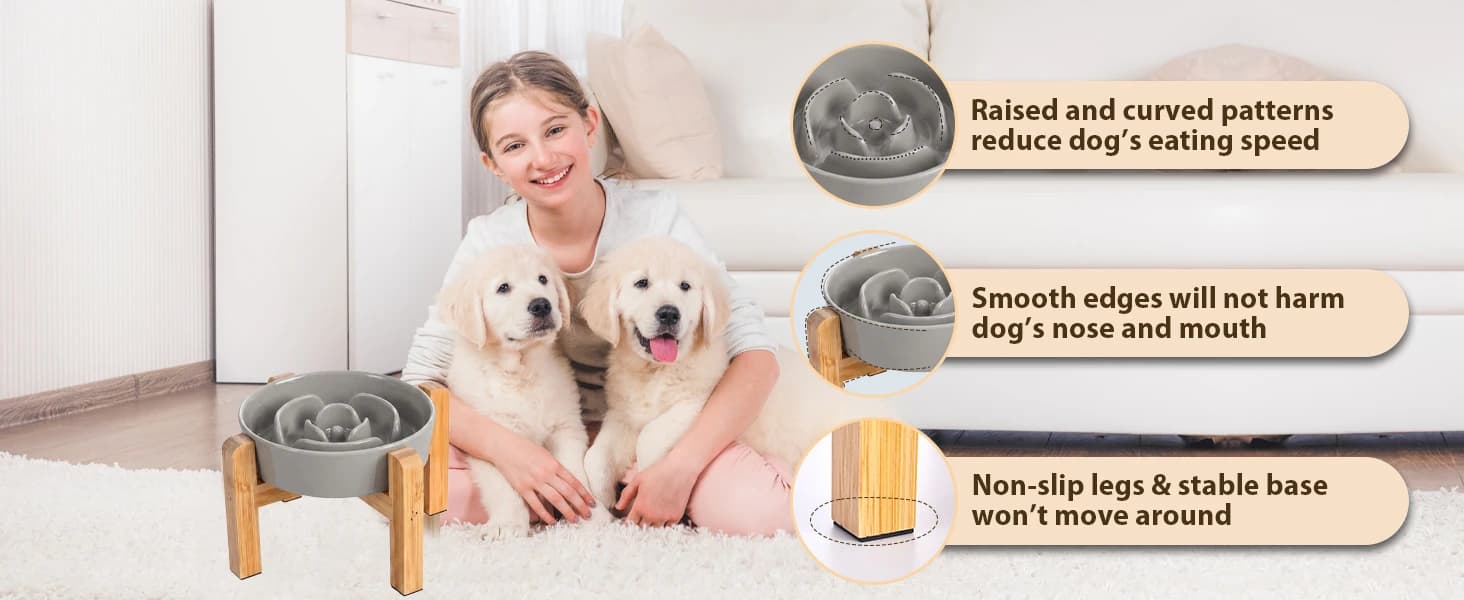 Elevated Slow Feeder Dog Bowl — collection imagery
