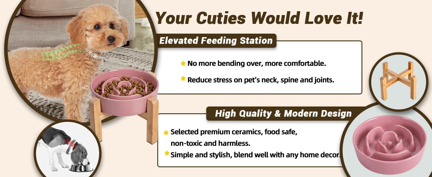 Elevated Slow Feeder Dog Bowl — product details