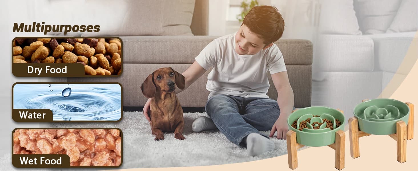 Elevated Slow Feeder Dog Bowl — collection imagery