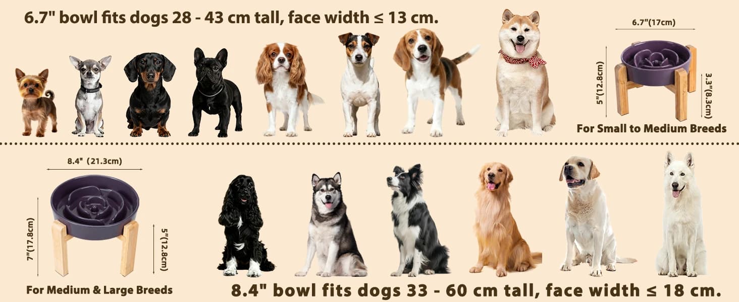 Elevated Slow Feeder Dog Bowl — product details