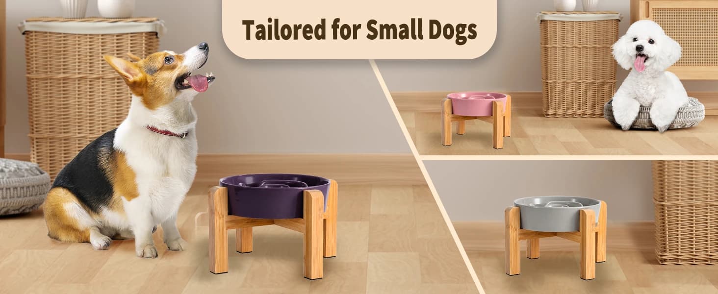 Elevated Slow Feeder Dog Bowl — product details