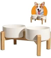 Elevated Slow Feeder Dog Bowl — collection imagery