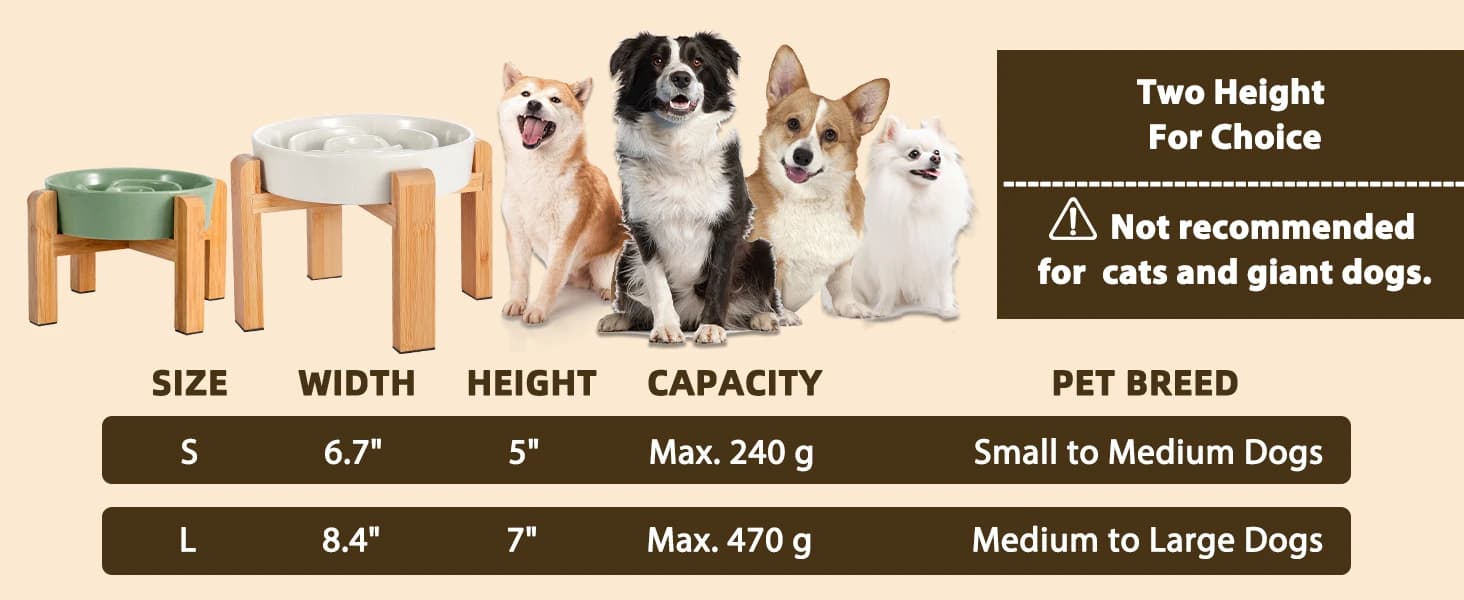 Elevated Slow Feeder Dog Bowl — product details