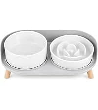 Elevated Slow Feeder Dog Bowl — collection imagery