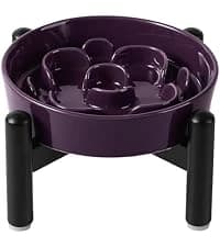 Elevated Slow Feeder Dog Bowl — collection imagery