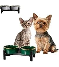 Elevated Slow Feeder Dog Bowl — collection imagery