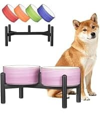 Elevated Slow Feeder Dog Bowl — collection imagery