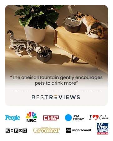 7L/230oz Dog Water Fountain for Multi-pet Household — collection imagery