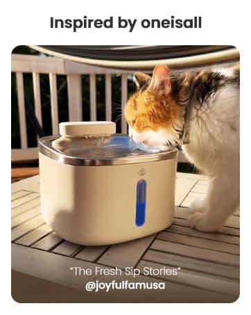 7L/230oz Dog Water Fountain for Multi-pet Household — collection imagery