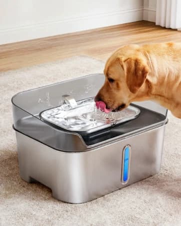 No Spill Dog Water Fountain Stainless Steel — Large 8L/2.1Gal Ultra Quiet — collection imagery
