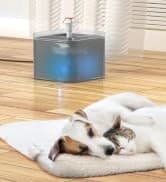 Pet Water Fountain Filter — 24 Per Fountain Filter Replacement — collection imagery