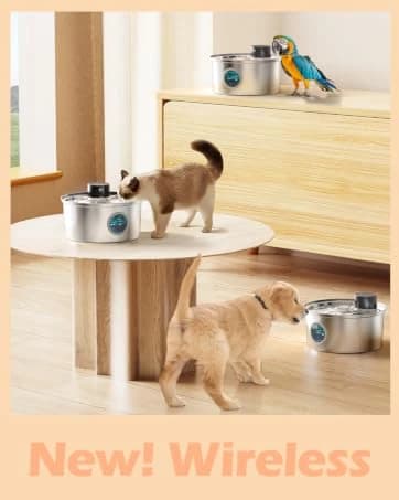 Cat Water Fountain Filters — 12 Cat Fountain Replacement Filter — collection imagery