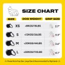 Retractable Dog Leash — 16 ft Dog Walking Leash for Small Dogs up to 26 lbs